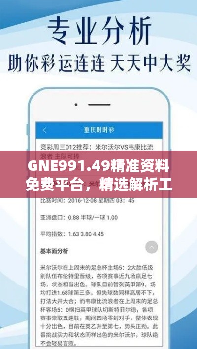 GNE991.49精準(zhǔn)資料免費(fèi)平臺，精選解析工具推薦