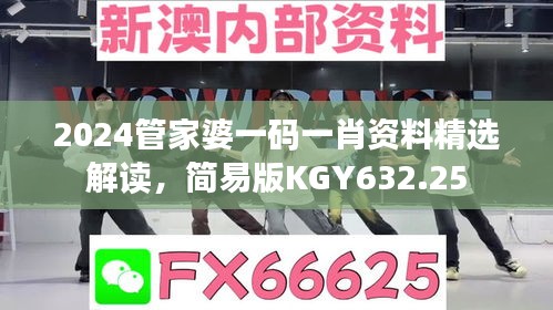 2024管家婆一碼一肖資料精選解讀，簡易版KGY632.25