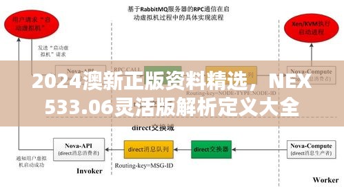 2024澳新正版資料精選，NEX533.06靈活版解析定義大全