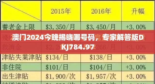 澳門2024今晚揭曉哪號碼，專家解答版DKJ784.97