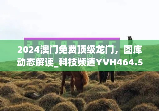 2024澳門免費頂級龍門，圖庫動態(tài)解讀_科技頻道YVH464.54