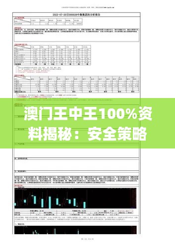 澳門王中王100%資料揭秘：安全策略評估報(bào)告_造化境XUK645.54