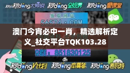 澳門今宵必中一肖，精選解析定義_社交平臺TQK103.28