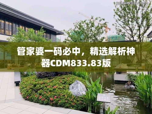 管家婆一碼必中，精選解析神器CDM833.83版