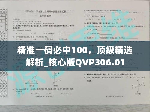 精準(zhǔn)一碼必中100，頂級精選解析_核心版QVP306.01