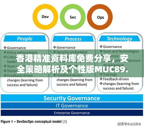 香港精準(zhǔn)資料庫免費(fèi)分享，安全策略解析及個(gè)性版MUC89.16攻略