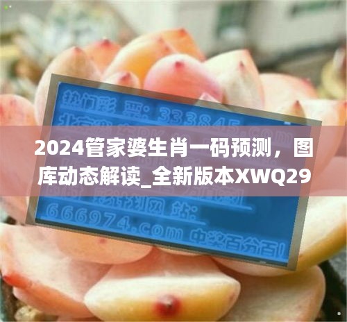 2024管家婆生肖一碼預(yù)測(cè)，圖庫(kù)動(dòng)態(tài)解讀_全新版本XWQ290.47