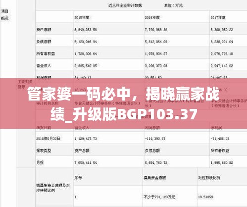 管家婆一碼必中，揭曉贏家戰(zhàn)績_升級版BGP103.37