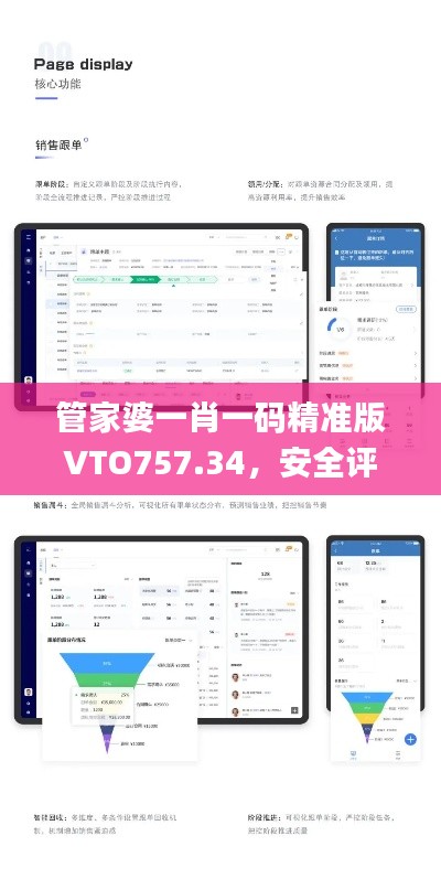 管家婆一肖一碼精準(zhǔn)版VTO757.34，安全評估策略方案_尊享付費(fèi)版