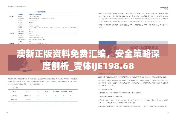 澳新正版資料免費(fèi)匯編，安全策略深度剖析_變體IJE198.68