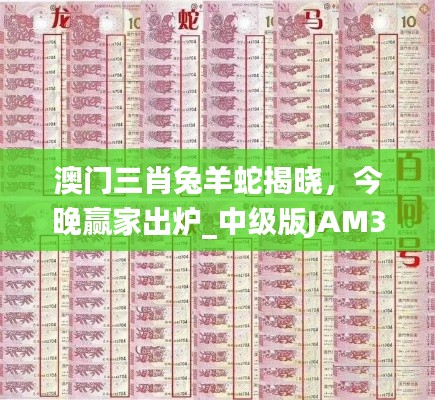 澳門(mén)三肖兔羊蛇揭曉，今晚贏家出爐_中級(jí)版JAM324.11