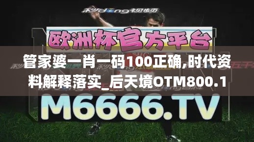 管家婆一肖一碼100正確,時代資料解釋落實(shí)_后天境OTM800.12