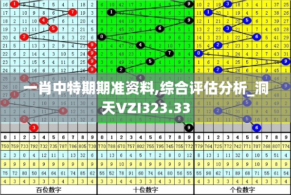 一肖中特期期準(zhǔn)資料,綜合評估分析_洞天VZI323.33