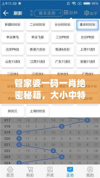 管家婆一碼一肖絕密秘籍，大小中特精準解析，JRW112.88編程版最新解讀