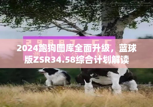 2024跑狗圖庫全面升級，藍(lán)球版ZSR34.58綜合計劃解讀