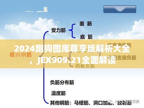 2024跑狗圖庫尊享版解析大全，JEX909.21全面解讀