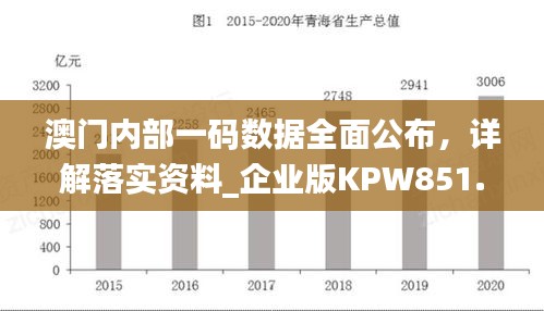 澳門內(nèi)部一碼數(shù)據(jù)全面公布，詳解落實(shí)資料_企業(yè)版KPW851.07