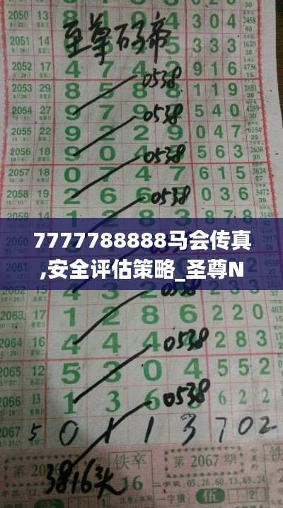 7777788888馬會傳真,安全評估策略_圣尊NSP986.05