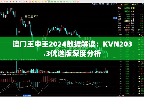 澳門王中王2024數(shù)據(jù)解讀：KVN203.3優(yōu)選版深度分析