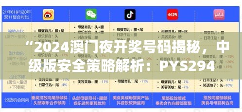 “2024澳門夜開獎(jiǎng)號(hào)碼揭秘，中級(jí)版安全策略解析：PYS294.03”