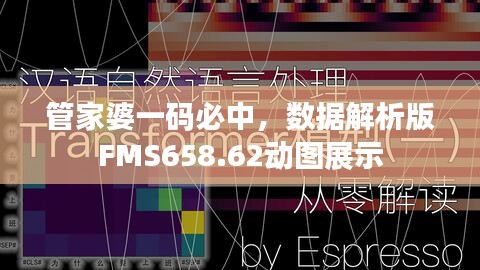 管家婆一碼必中，數(shù)據(jù)解析版FMS658.62動(dòng)圖展示