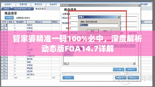 管家婆精準一碼100%必中，深度解析動態(tài)版FOA14.7詳解