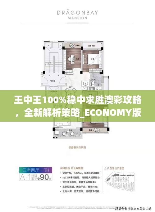 王中王100%穩(wěn)中求勝澳彩攻略，全新解析策略_ECONOMY版ANL510.67