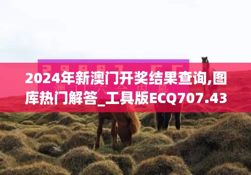 2024年新澳門開獎(jiǎng)結(jié)果查詢,圖庫熱門解答_工具版ECQ707.43