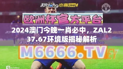 2024澳門(mén)今晚一肖必中，ZAL237.67環(huán)境版揭秘解析