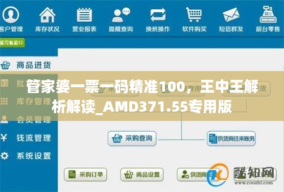 管家婆一票一碼精準100，王中王解析解讀_AMD371.55專用版