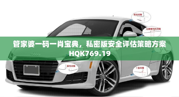 管家婆一碼一肖寶典，私密版安全評估策略方案HQK769.19