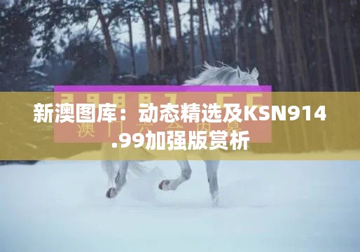 新澳圖庫：動態(tài)精選及KSN914.99加強(qiáng)版賞析