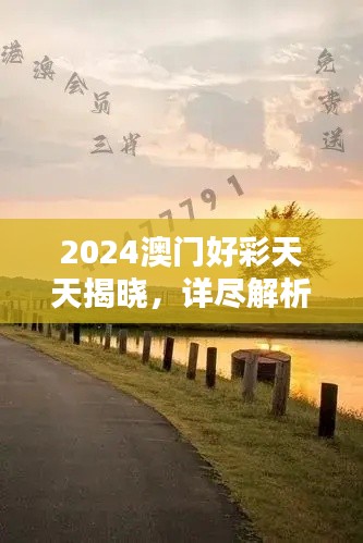 2024澳門好彩天天揭曉，詳盡解析BQY231.21和諧版