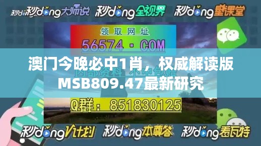 澳門今晚必中1肖，權(quán)威解讀版MSB809.47最新研究