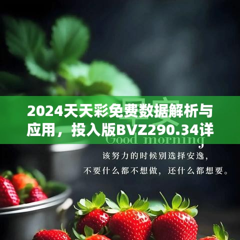 2024天天彩免費數據解析與應用，投入版BVZ290.34詳述