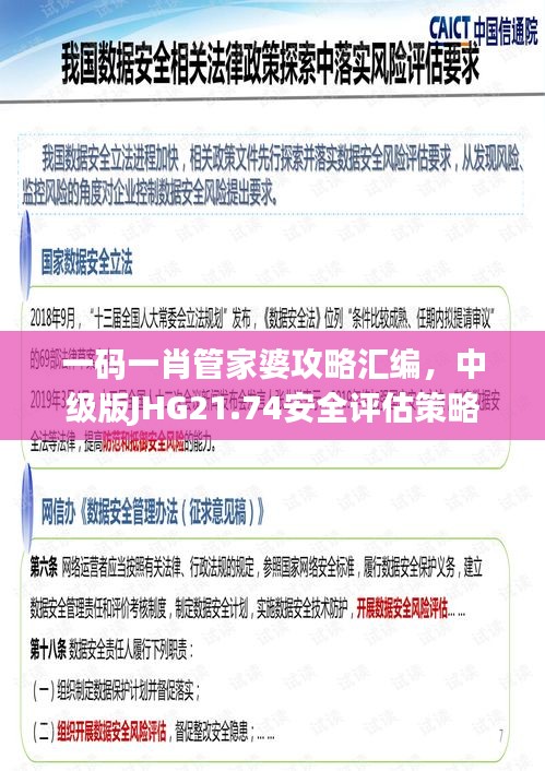 一碼一肖管家婆攻略匯編，中級版JHG21.74安全評估策略