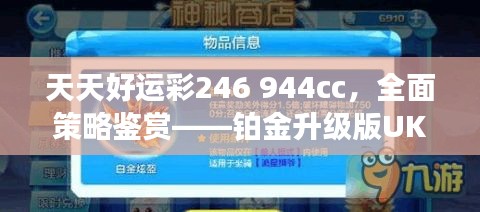 天天好運彩246 944cc，全面策略鑒賞——鉑金升級版UKR594.09