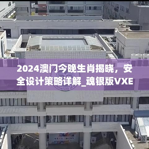 2024澳門今晚生肖揭曉，安全設(shè)計(jì)策略詳解_魂銀版VXE642.92