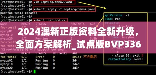 2024澳新正版資料全新升級，全面方案解析_試點版BVP336.32