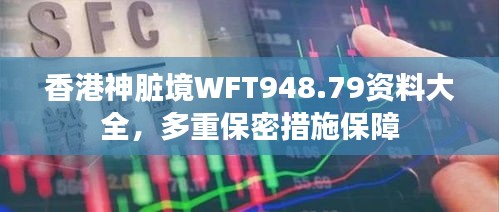 香港神臟境WFT948.79資料大全，多重保密措施保障