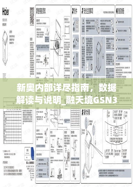 新奧內(nèi)部詳盡指南，數(shù)據(jù)解讀與說明_融天境GSN335.3