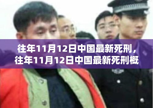 往年11月12日中國最新死刑執(zhí)行概況，法律公正與社會反響分析