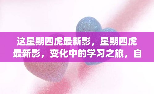 星期四虎最新影，變化中的學習之旅，自信與成就感的源泉