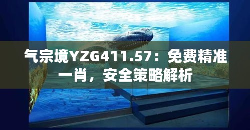 氣宗境YZG411.57：免費精準(zhǔn)一肖，安全策略解析