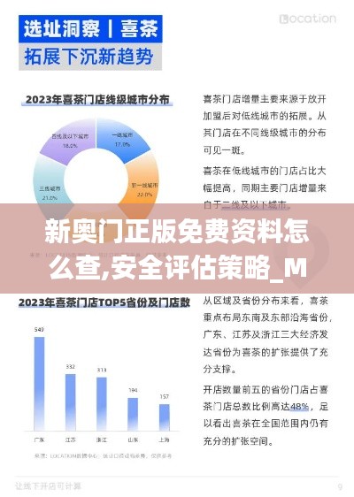 新奧門正版免費(fèi)資料怎么查,安全評(píng)估策略_MUS375.28仙神境