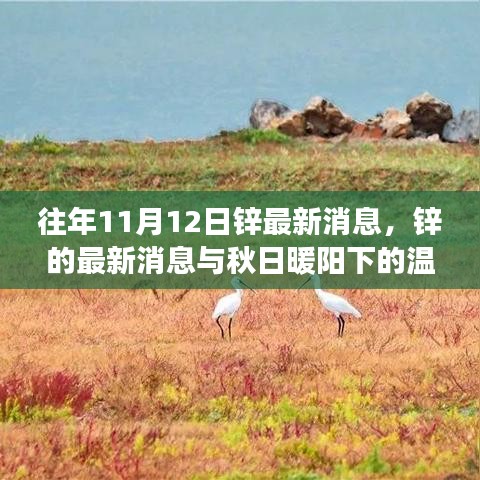 秋日暖陽(yáng)下的鋅情，最新鋅消息與溫情故事回顧