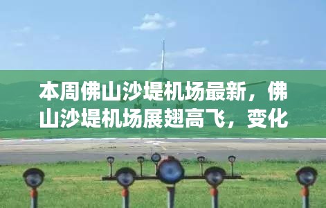 佛山沙堤機場最新動態(tài)，展翅高飛，變化中的學習鑄就自信與成就展