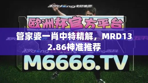 管家婆一肖中特精解，MRD132.86神準(zhǔn)推薦