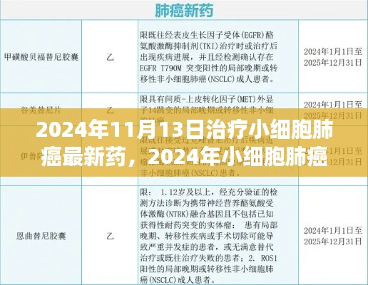 2024年小細(xì)胞肺癌治療新藥全面解析與用戶體驗(yàn)，最新藥物評測及療效展望