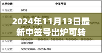 揭秘，2024年最新可轉(zhuǎn)債中簽號出爐背后的影響與時(shí)代地位分析